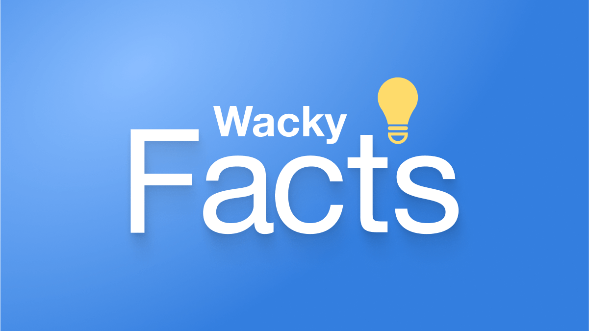 15 wacky but true real estate facts