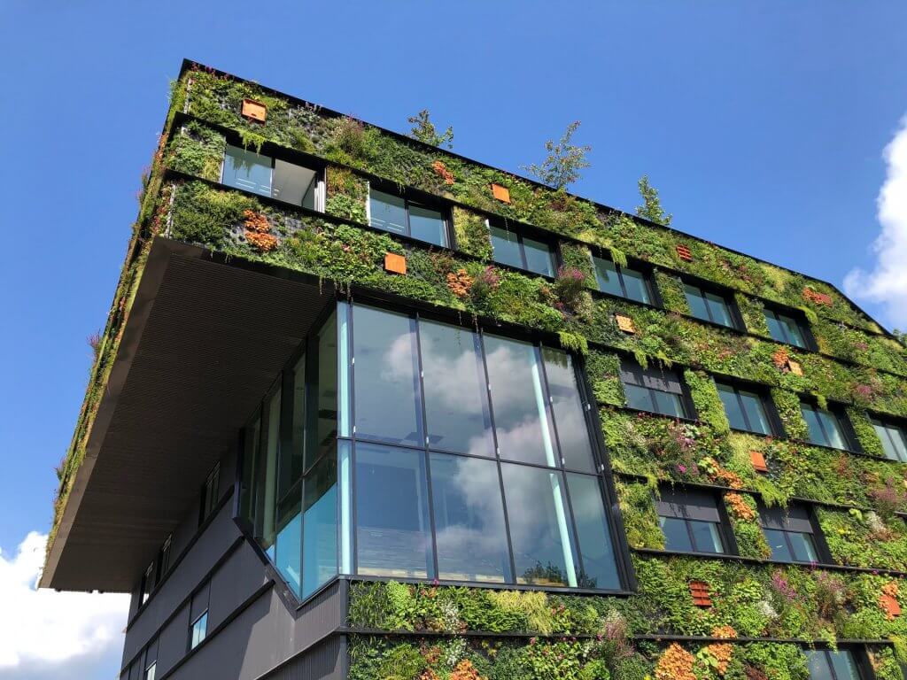 sustainable green buildings